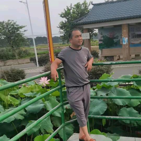 甘心情愿