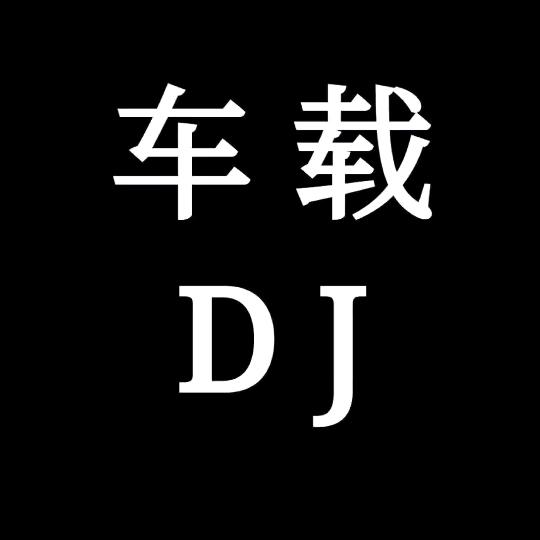 漂移车载DJ车载优盘
