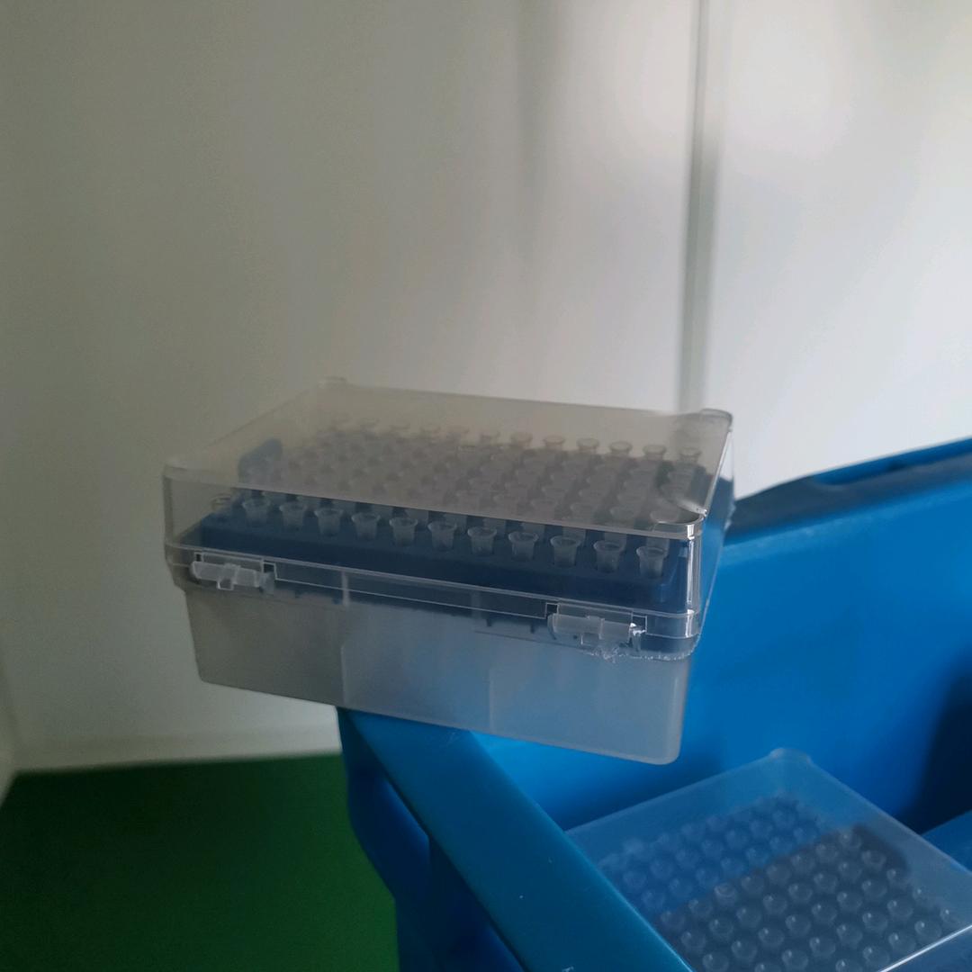 涵漠