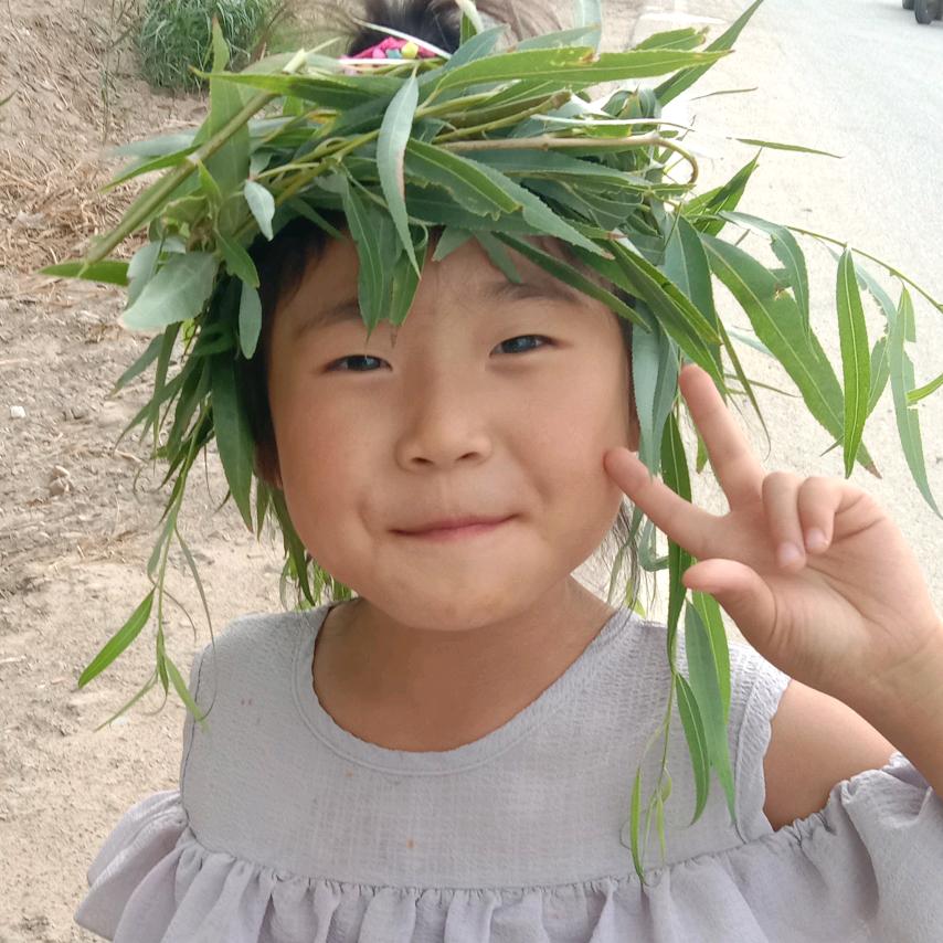 新疆特产  李飞