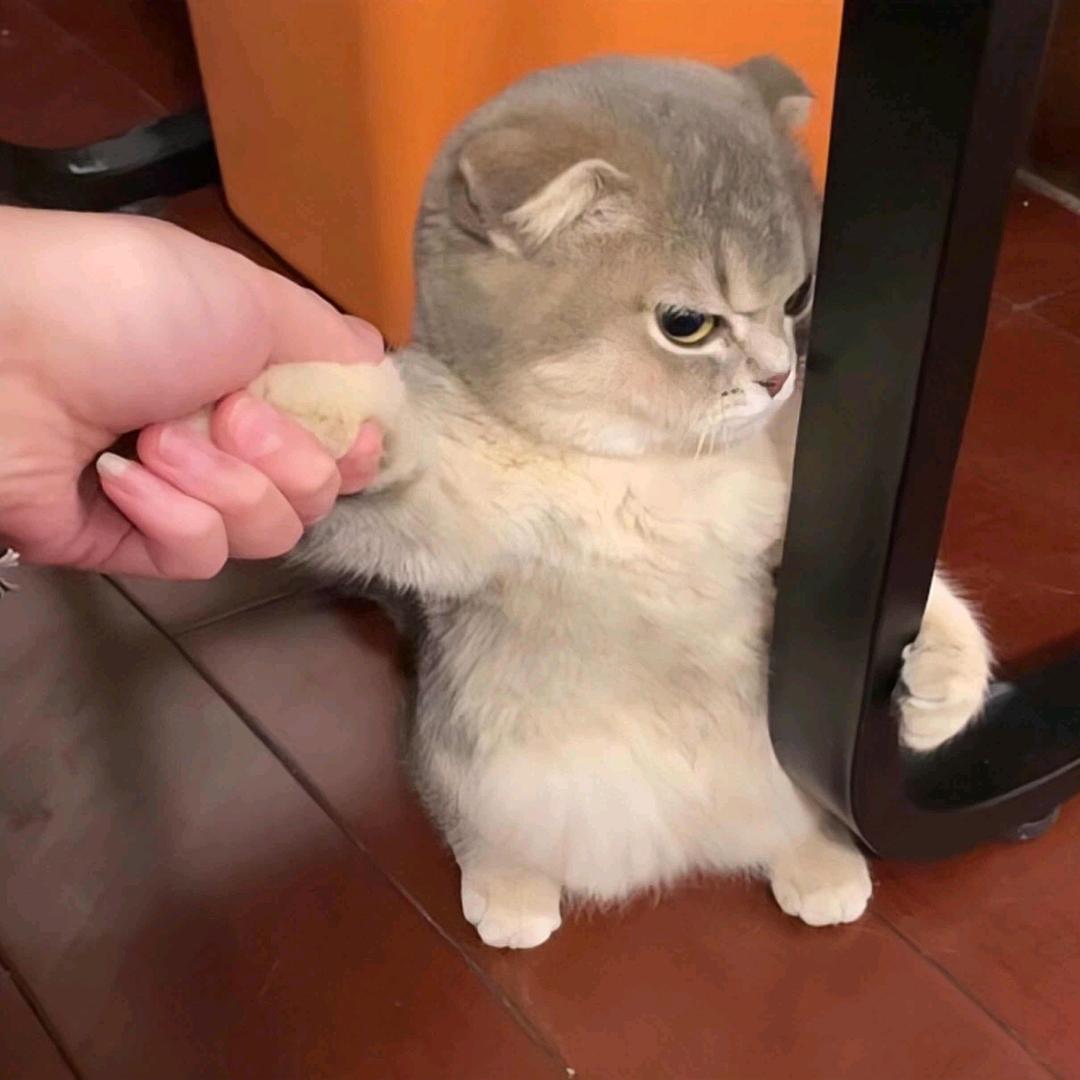 舊時光