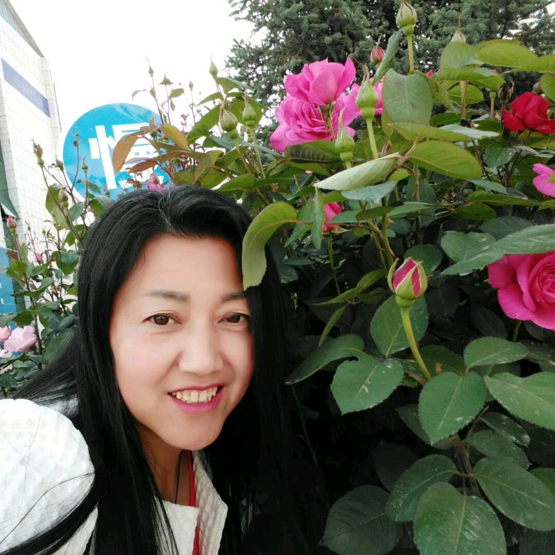 🌷🌷白鹅🌹🌹