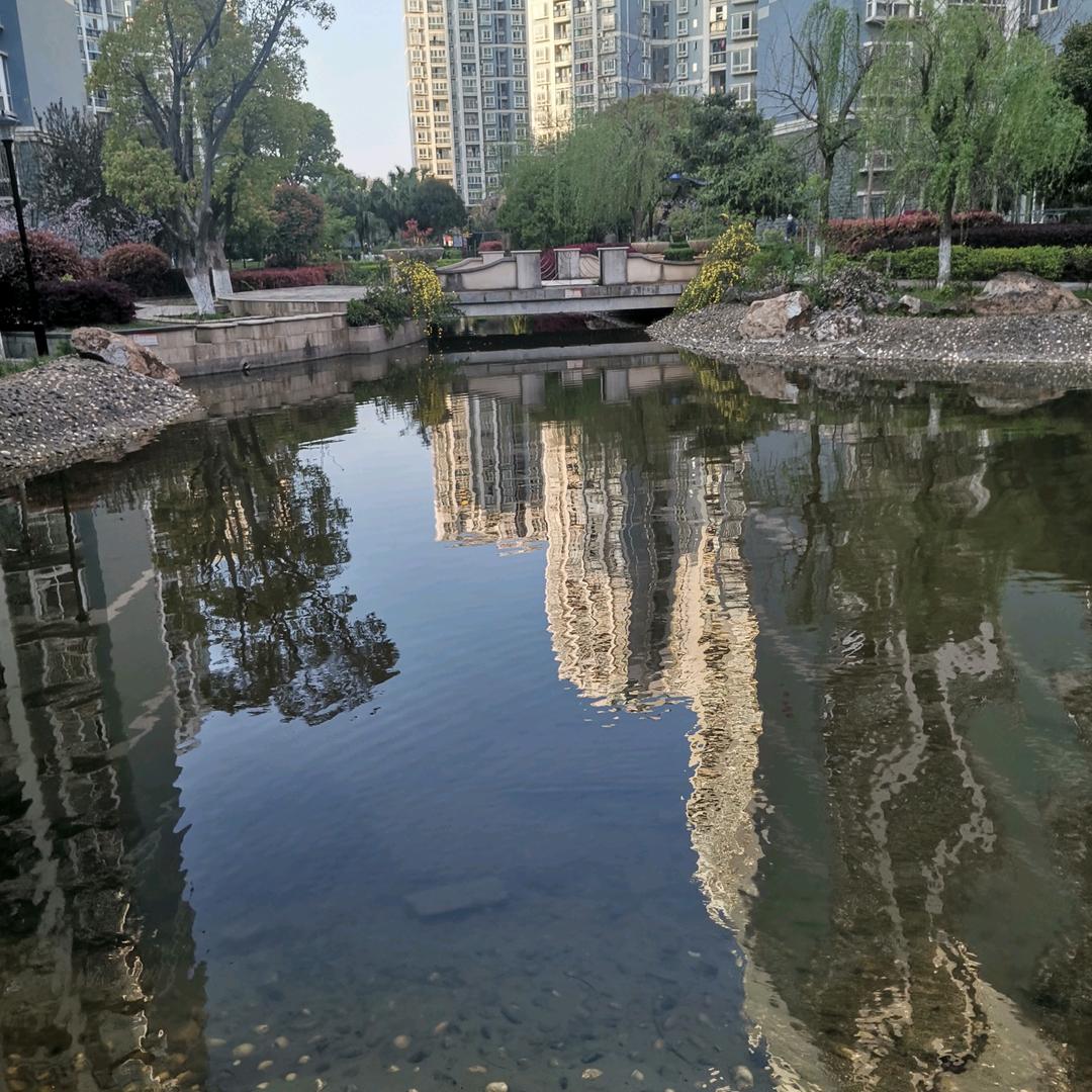 新年美好