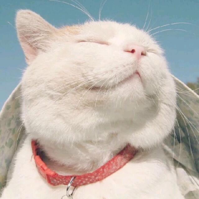 橘子海゜