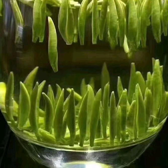 山竹