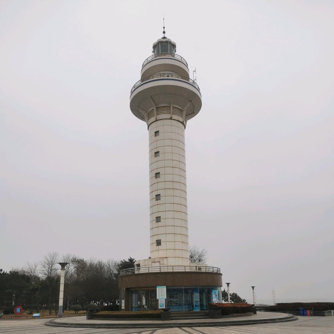 小马哥哥