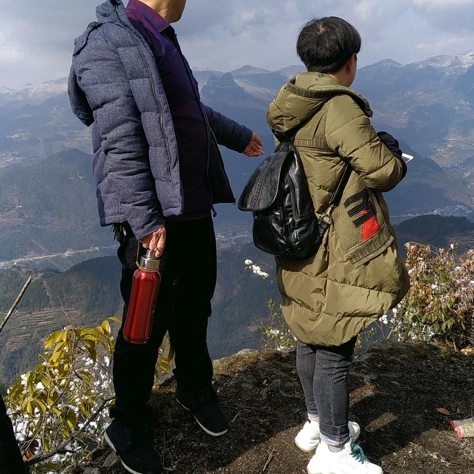 陈布华