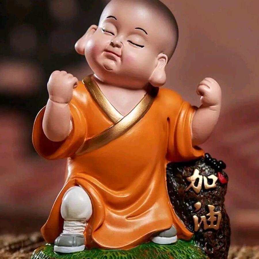 主流天下🤘