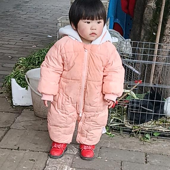 し唯为伊人诉惆怅
