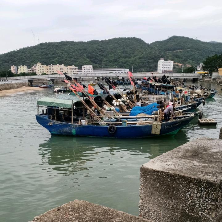 阳洋