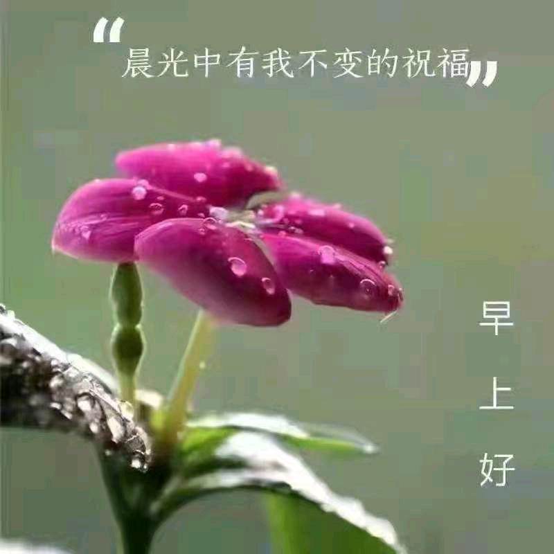 天空72062