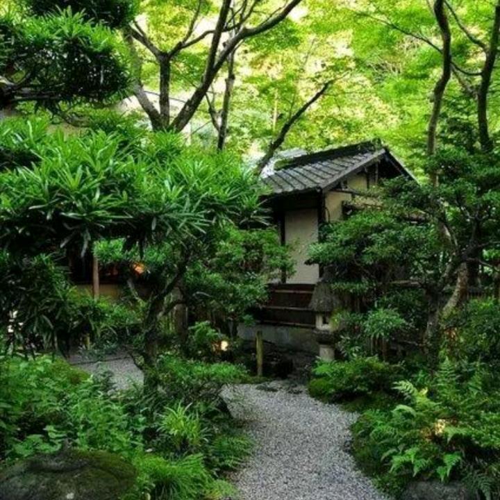 田野目歌
