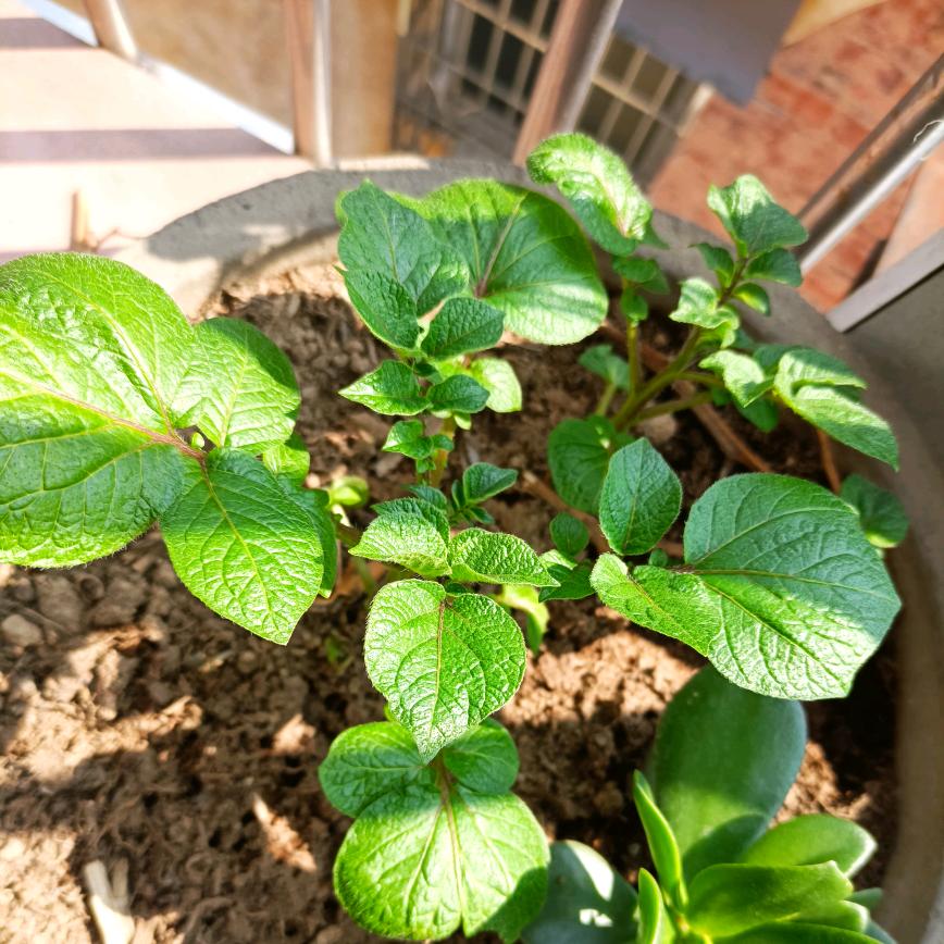 装修，电器，定制Sudy