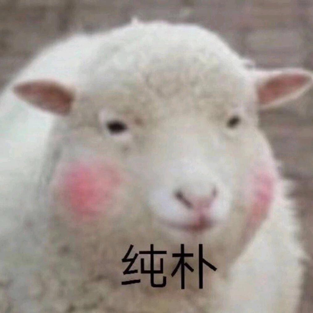 以大橘为重