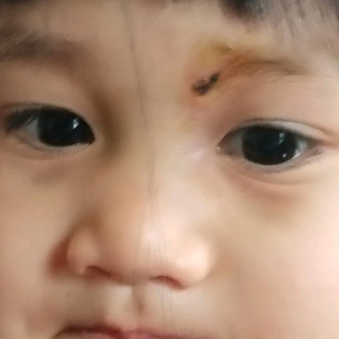 自由飞翔5565470629091