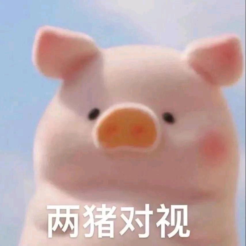 小纪小纪优秀帅气头像