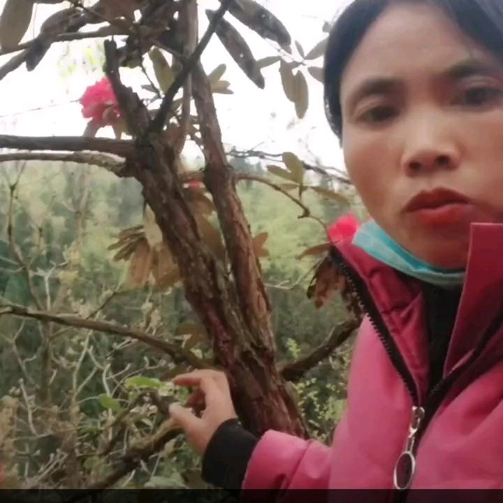 成功靠拼搏