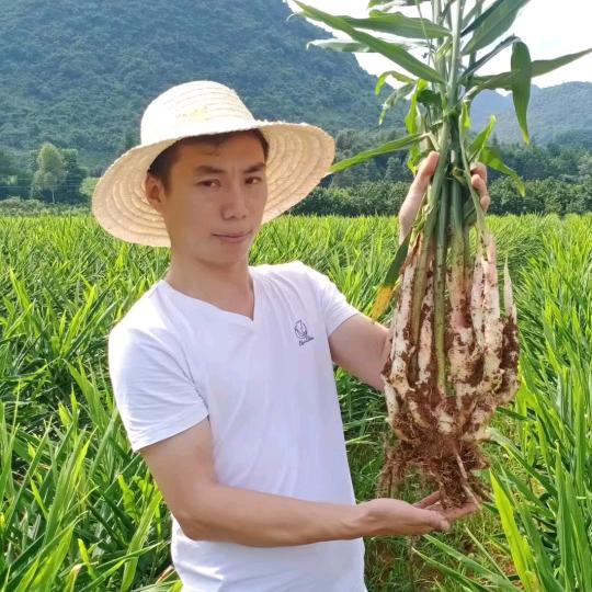 邓少香姜