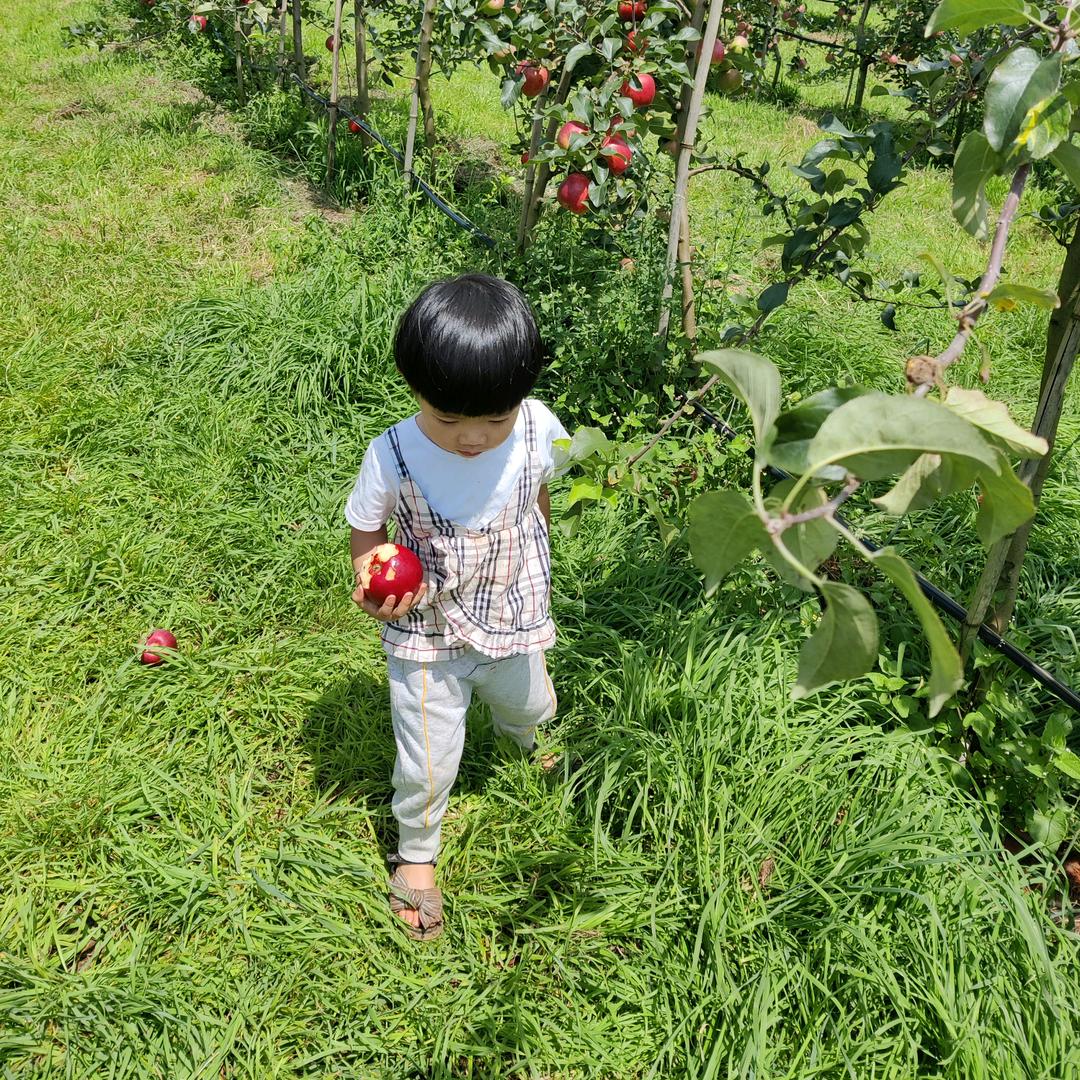 海埂大坝千多立民宿