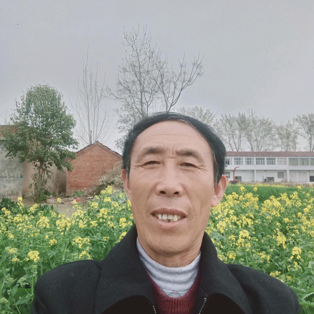 888夏奇华