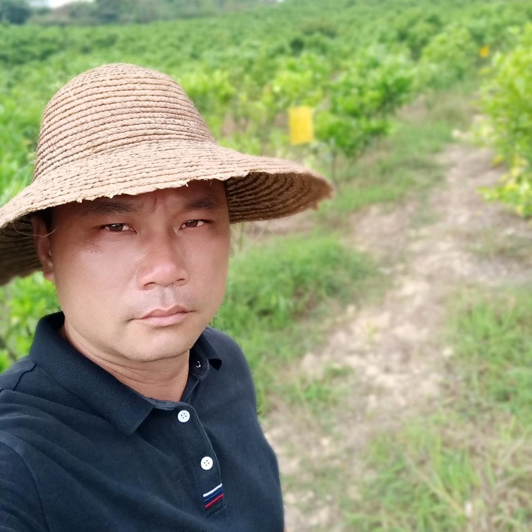红橙哥a