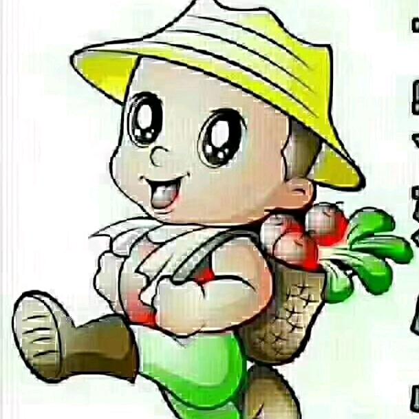 王坚