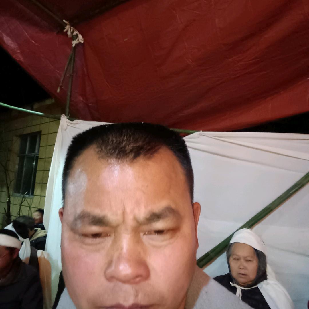 王朝贵