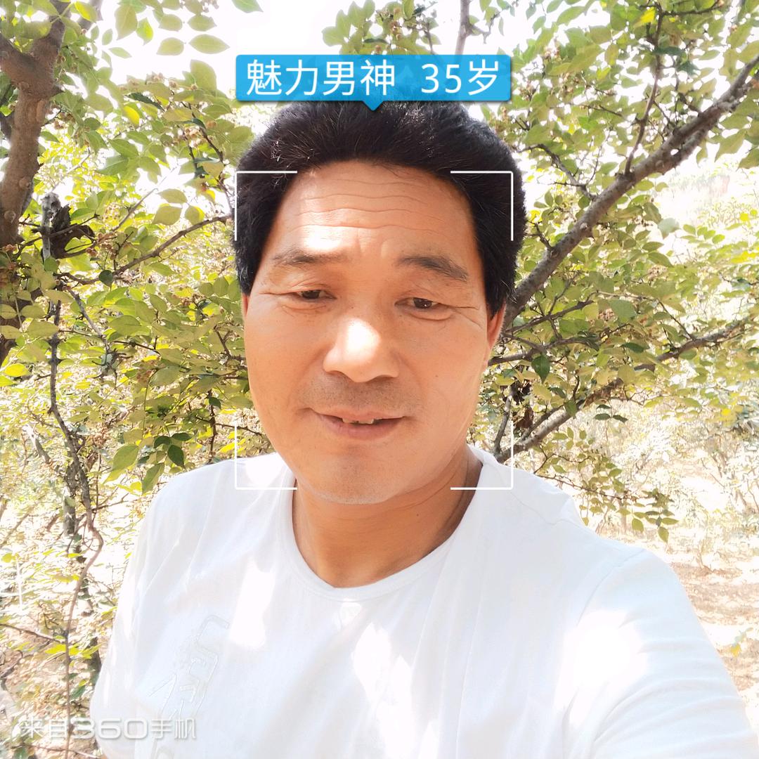 雄鹰