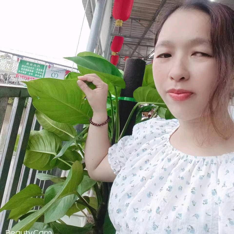 灵兰若梦