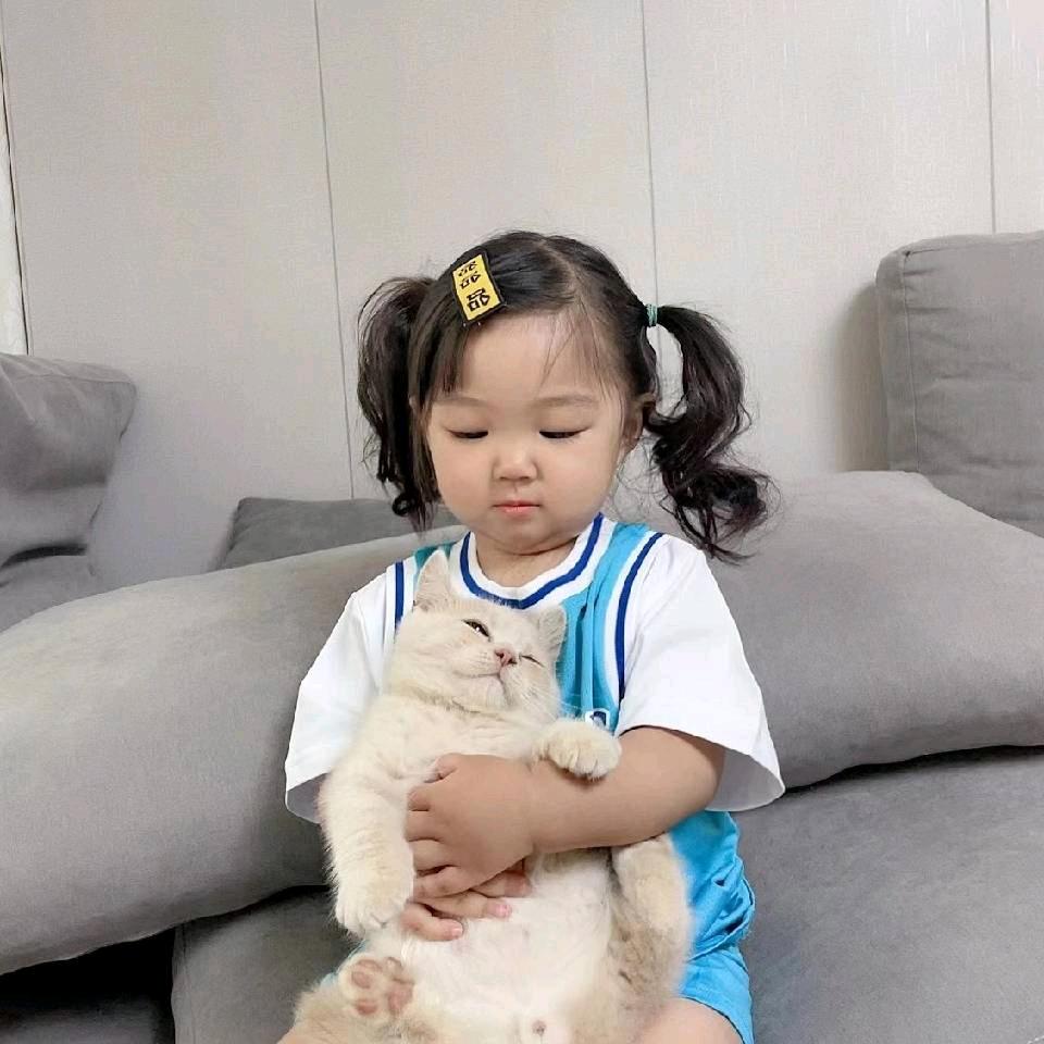肚肚