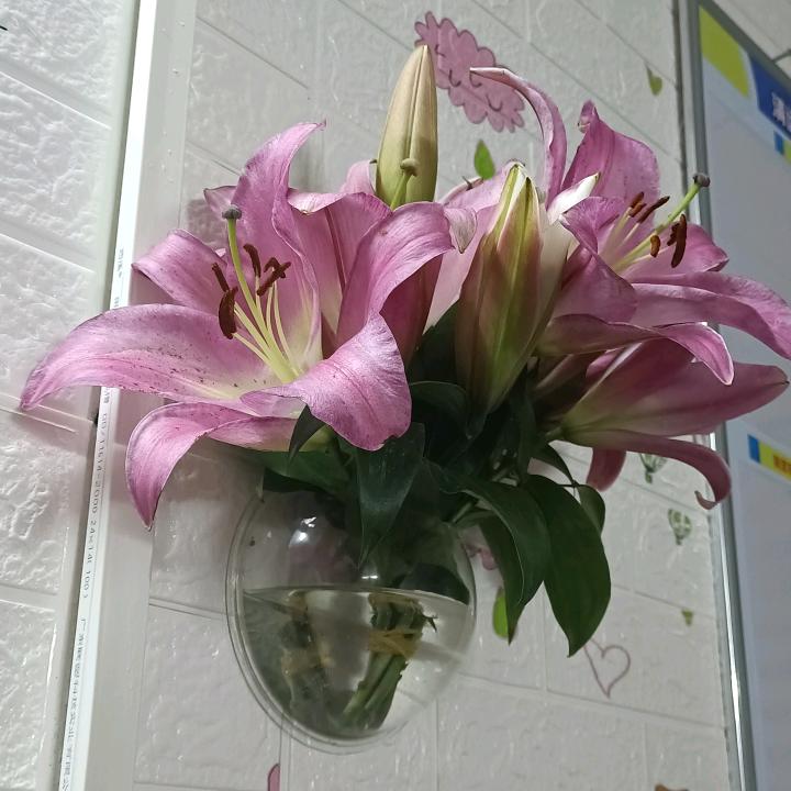 茹生向杨