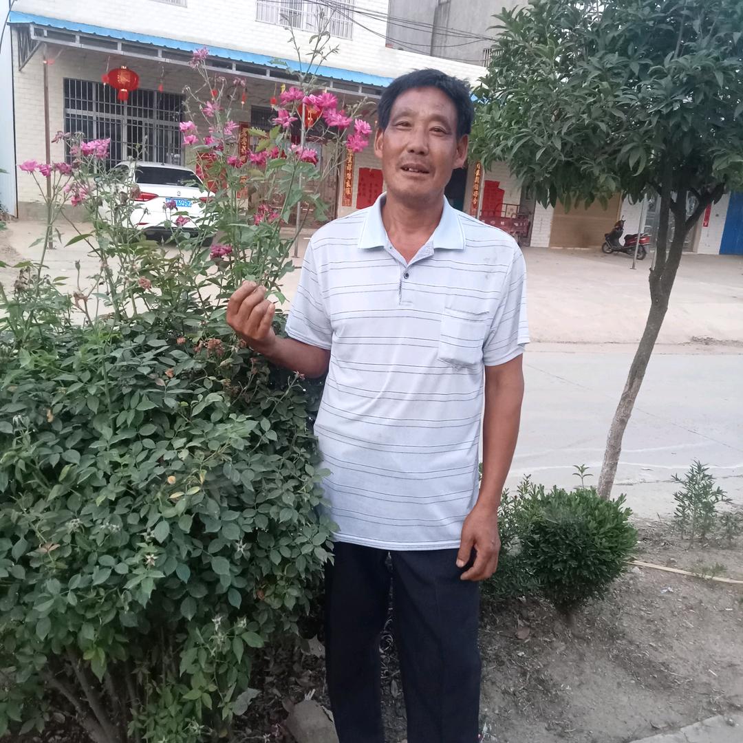 司发兵