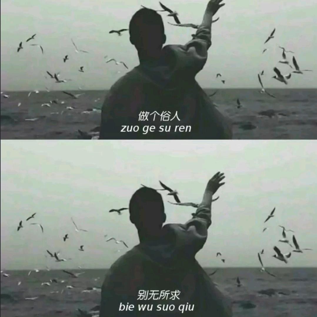 时光以北慕南城