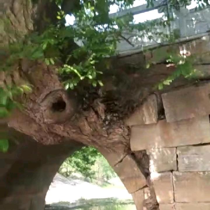 想念