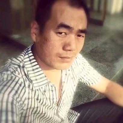 黄土白杨