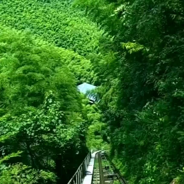 漂泊🐮