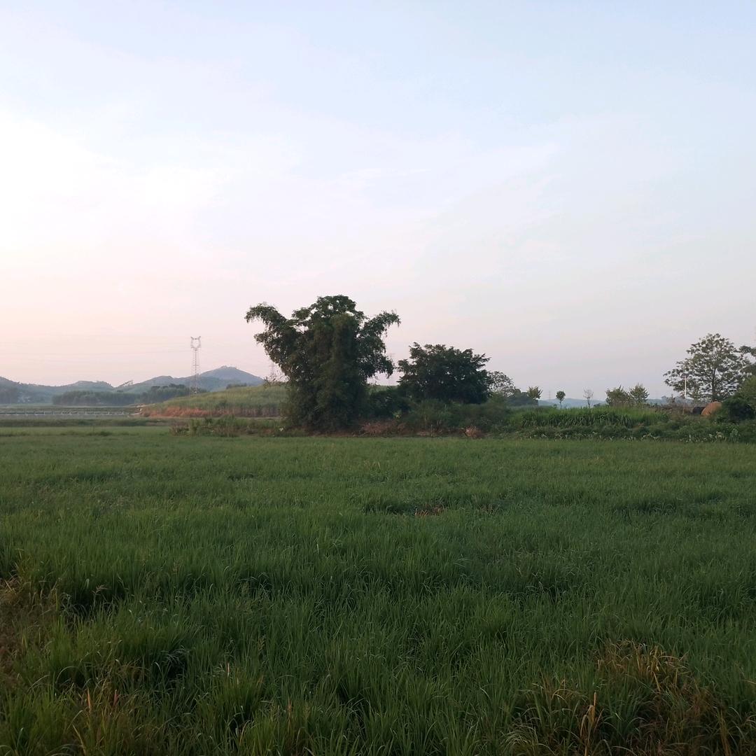 跑得不快的老虎