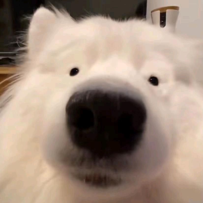 ㅤㅤㅤㅤ 　ㅤㅤ