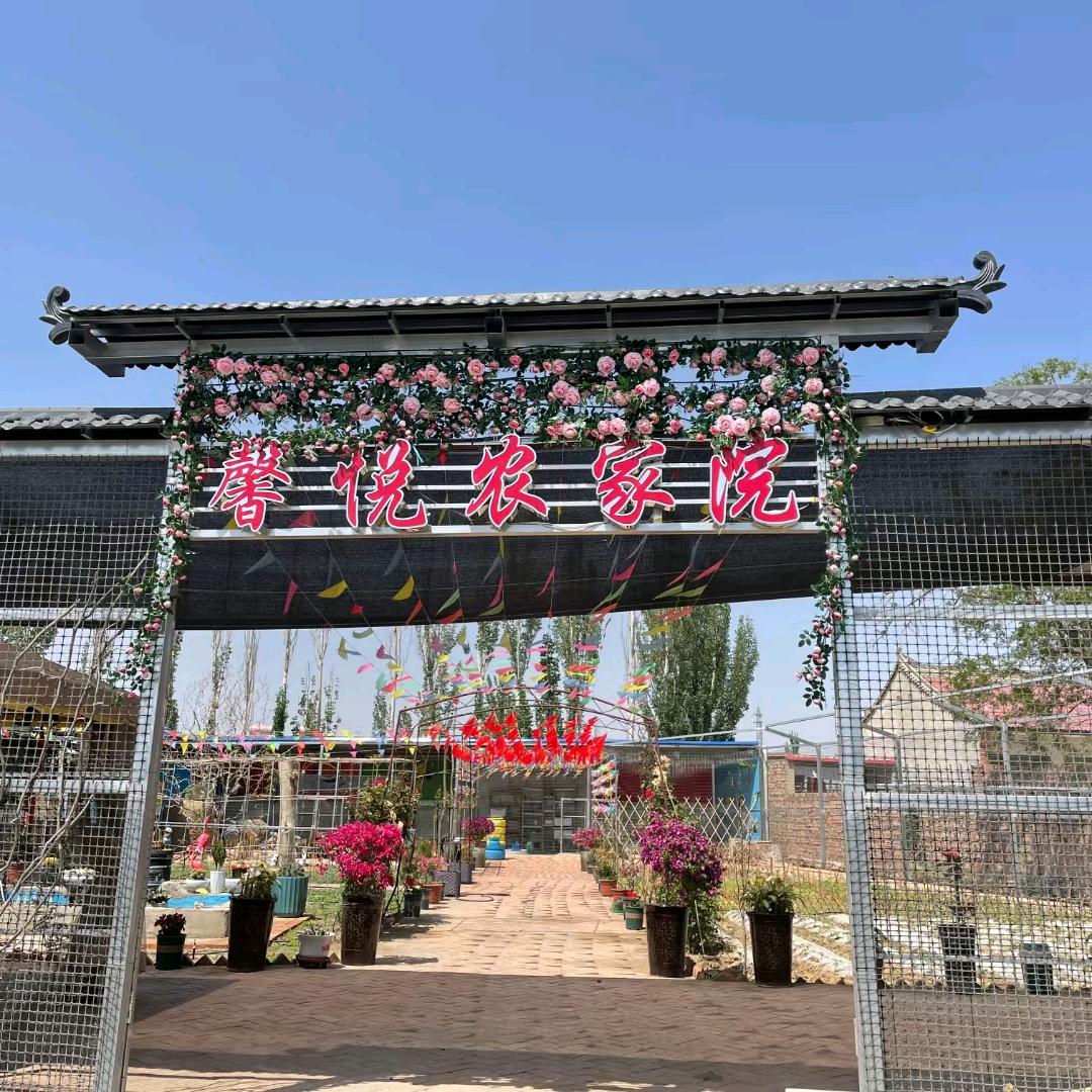 宁夏馨悦农家院