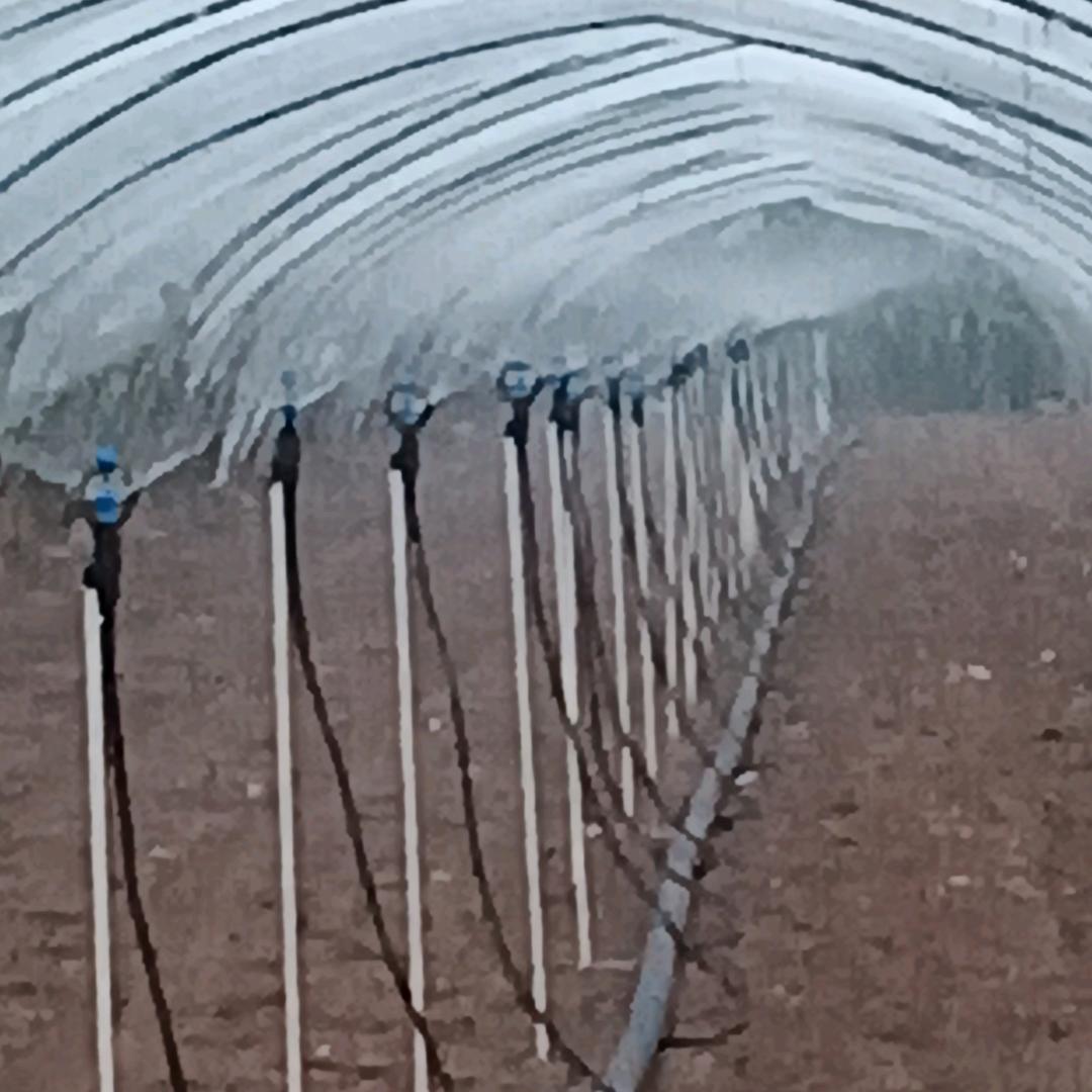 界首景辉家庭农场