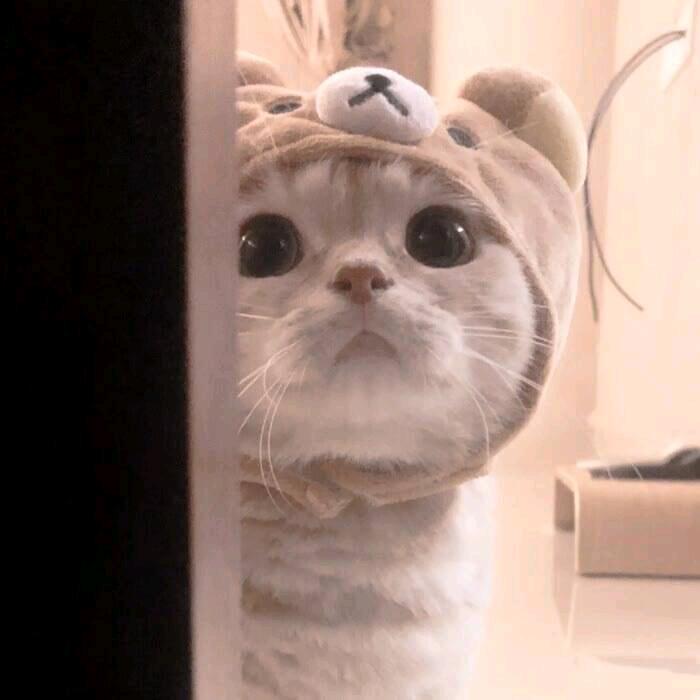 有限身