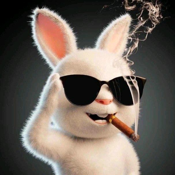 ε抱嫦娥烤玉兔з