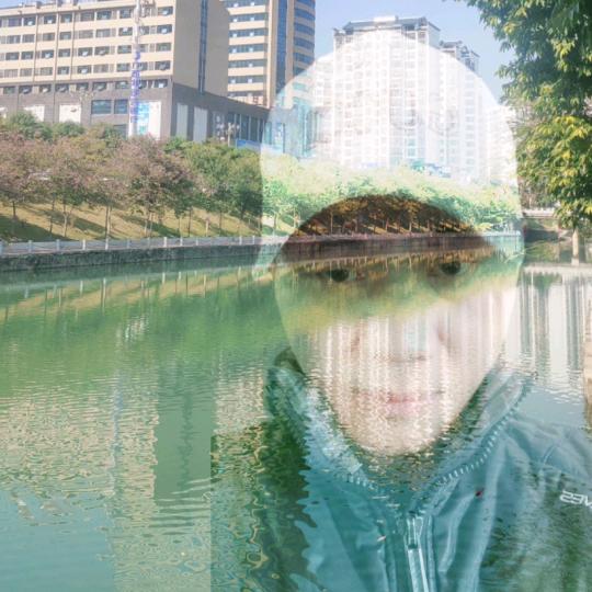 洋葱