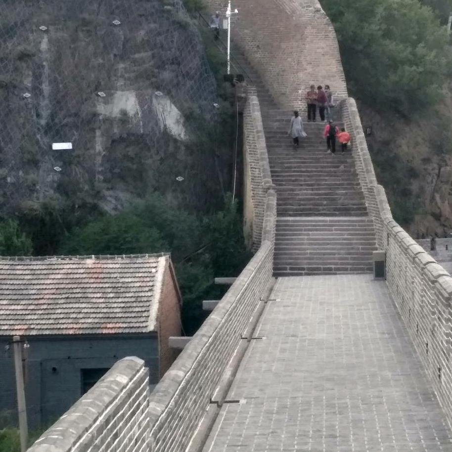 人参果