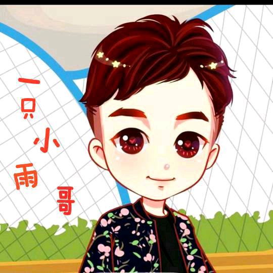 一只小雨哥