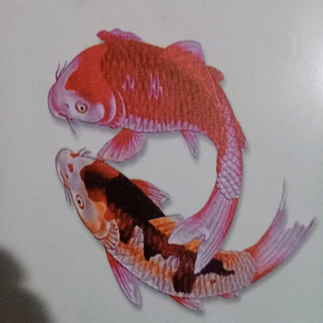 烟花为谁笑
