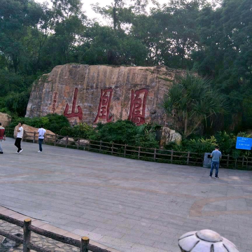 静雅幽兰