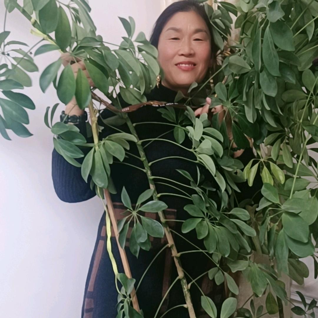 潼宝贝