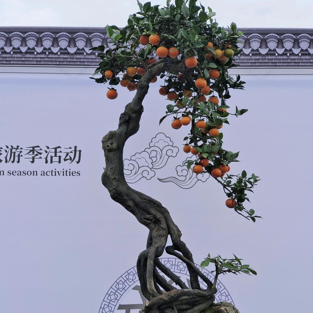 长宜园艺