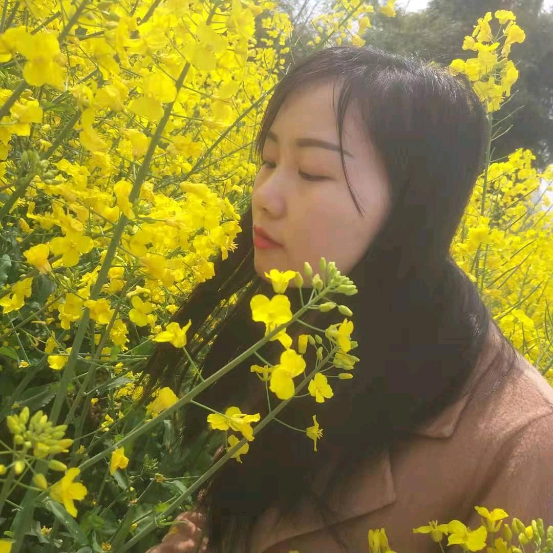 🌾🍀仙人掌做不了花🍀🌾